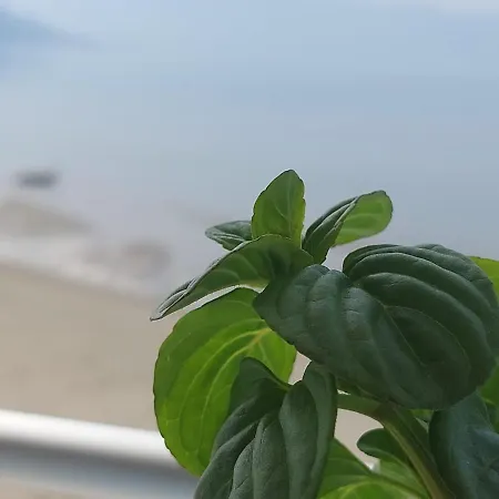 Grace Beachfront شقة