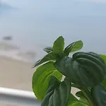 Grace Beachfront Apartment